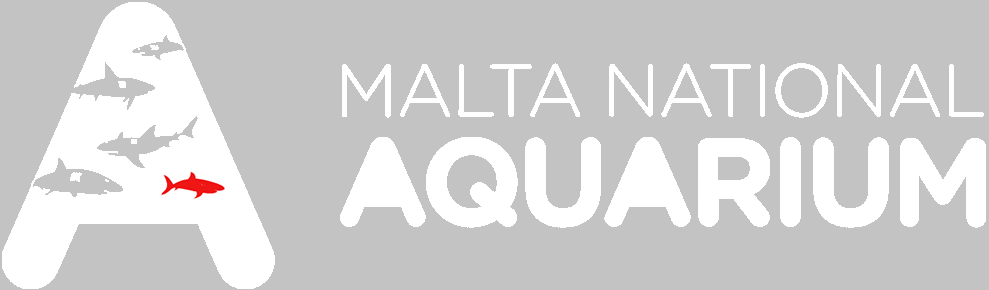 Malta National Aquarium